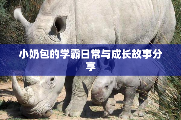 小奶包的学霸日常与成长故事分享