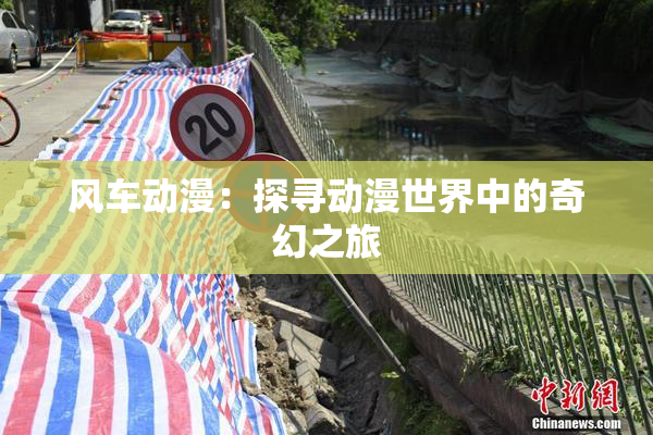 风车动漫：探寻动漫世界中的奇幻之旅