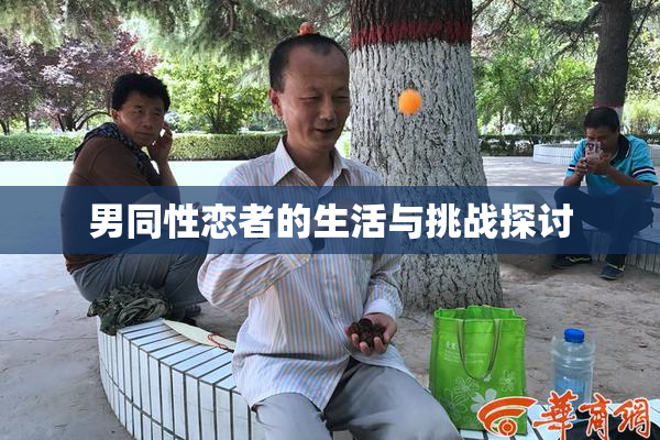 男同性恋者的生活与挑战探讨