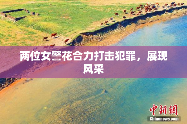 两位女警花合力打击犯罪，展现风采