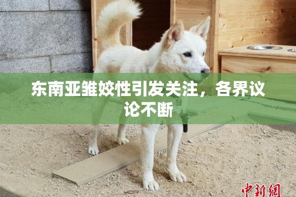 东南亚雏姣性引发关注，各界议论不断