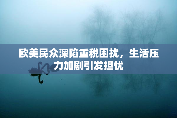 欧美民众深陷重税困扰，生活压力加剧引发担忧