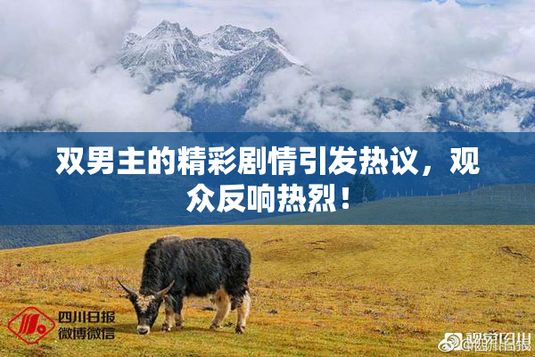 双男主的精彩剧情引发热议，观众反响热烈！