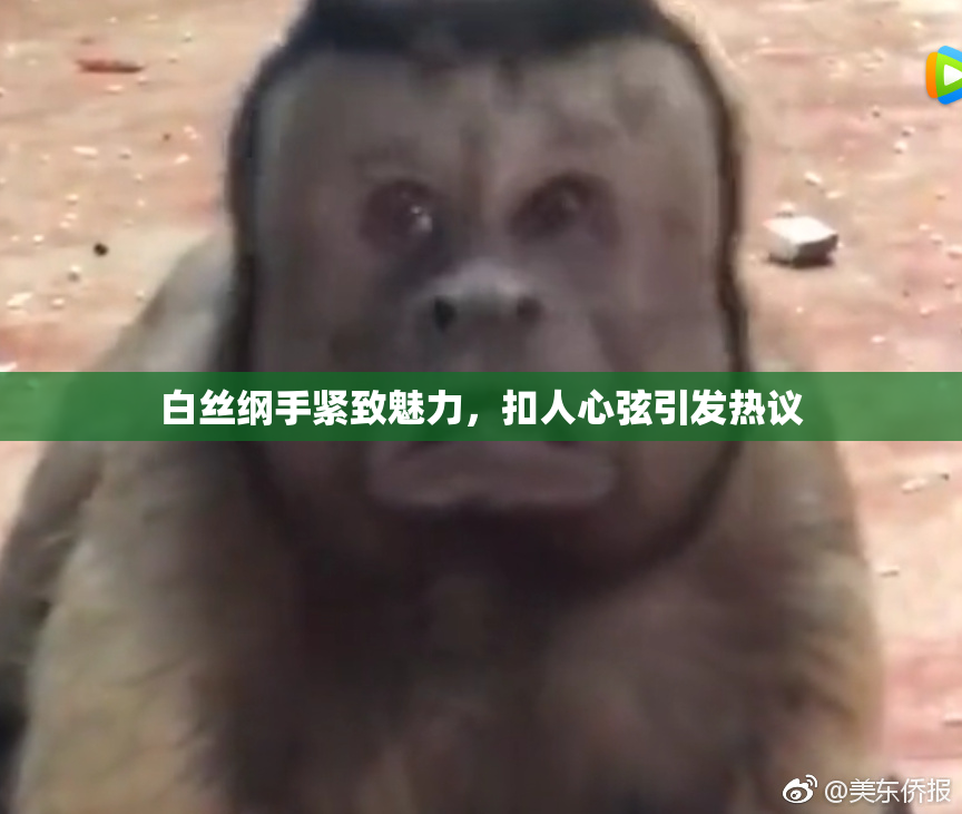 白丝纲手紧致魅力，扣人心弦引发热议