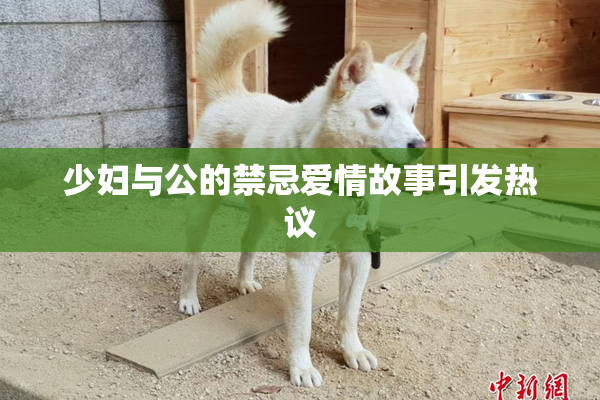 少妇与公的禁忌爱情故事引发热议