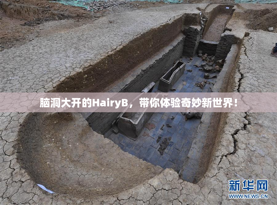 脑洞大开的HairyB，带你体验奇妙新世界！