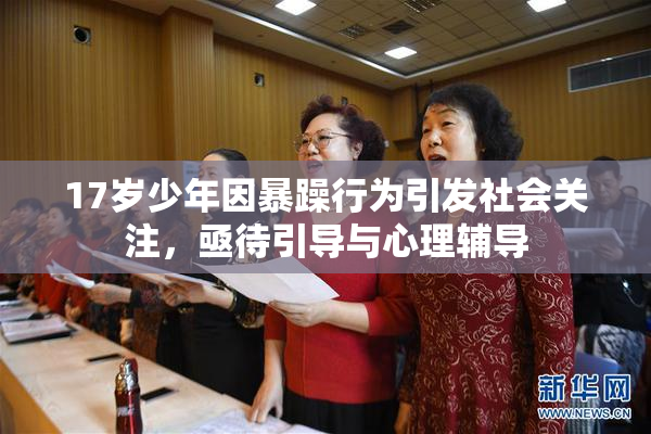 17岁少年因暴躁行为引发社会关注，亟待引导与心理辅导