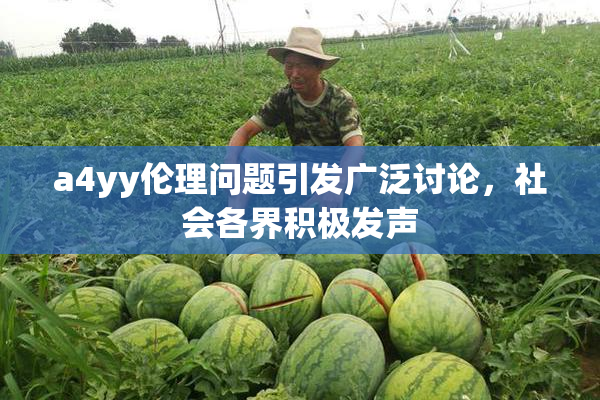 a4yy伦理问题引发广泛讨论，社会各界积极发声