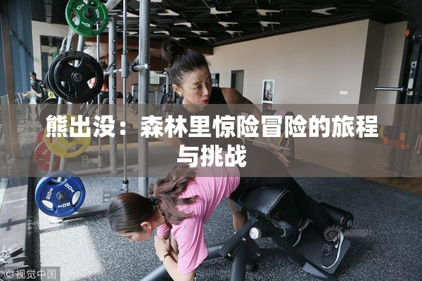 熊出没：森林里惊险冒险的旅程与挑战
