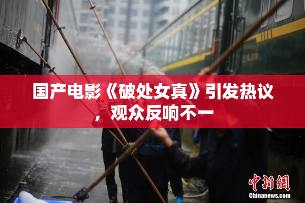 国产电影《破处女真》引发热议，观众反响不一