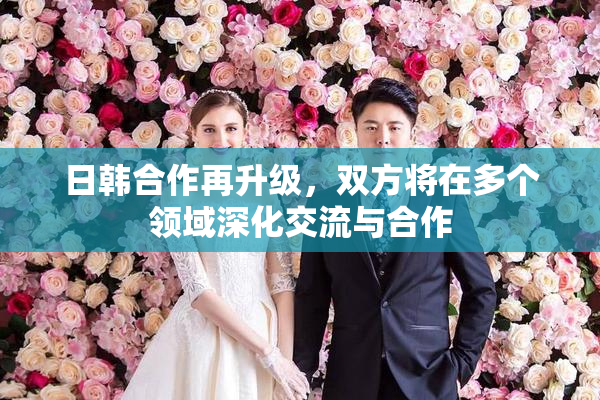 日韩合作再升级，双方将在多个领域深化交流与合作