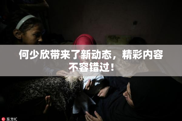 何少欣带来了新动态，精彩内容不容错过！