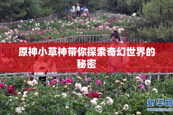 原神小草神带你探索奇幻世界的秘密