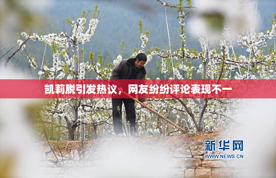 凯莉脱引发热议，网友纷纷评论表现不一