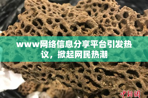 www网络信息分享平台引发热议，掀起网民热潮