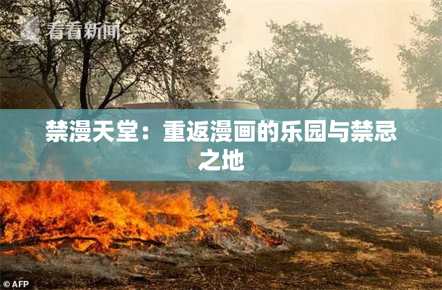 禁漫天堂：重返漫画的乐园与禁忌之地