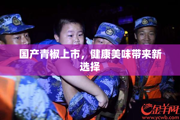 国产青椒上市，健康美味带来新选择