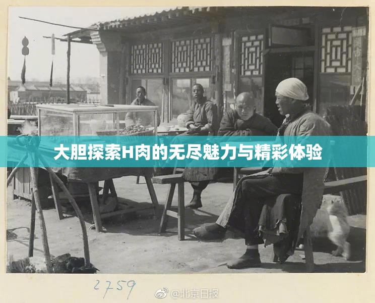 大胆探索H肉的无尽魅力与精彩体验