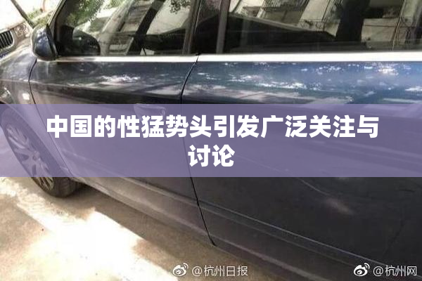 中国的性猛势头引发广泛关注与讨论