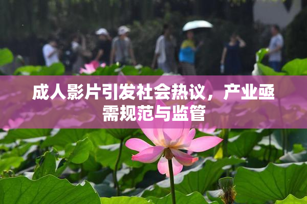 成人影片引发社会热议，产业亟需规范与监管