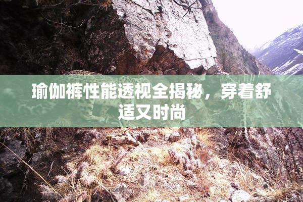 瑜伽裤性能透视全揭秘，穿着舒适又时尚