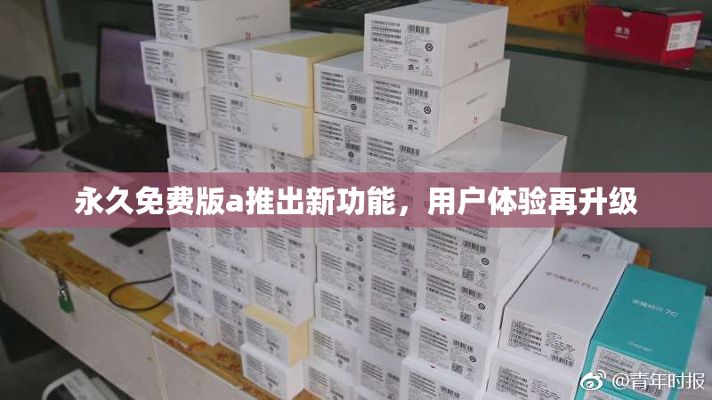 永久免费版a推出新功能，用户体验再升级