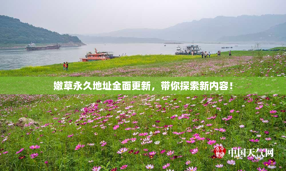 嫩草永久地址全面更新，带你探索新内容！