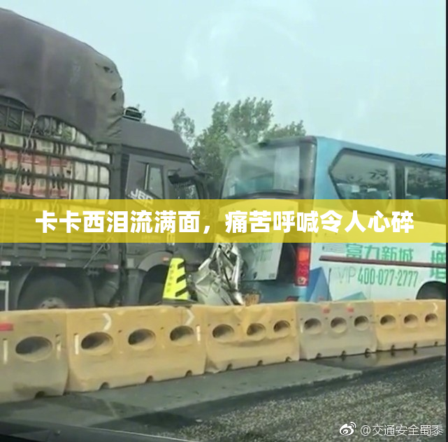 卡卡西泪流满面，痛苦呼喊令人心碎