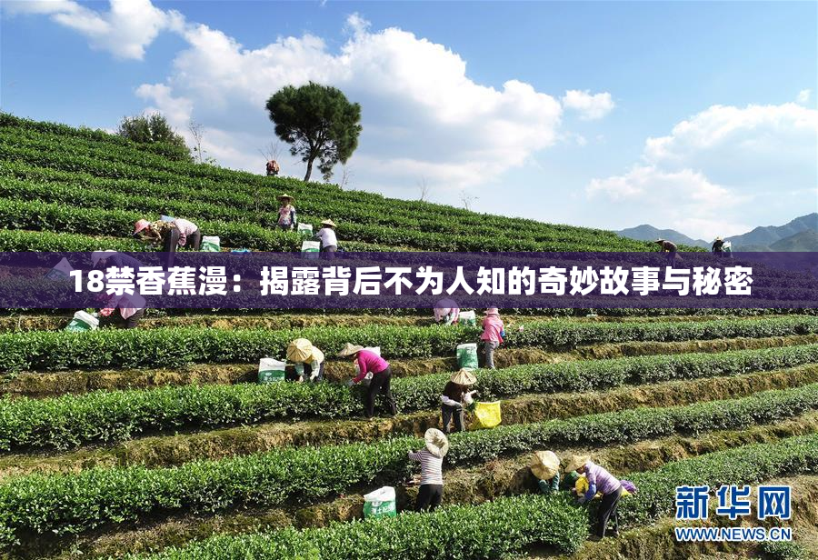 18禁香蕉漫：揭露背后不为人知的奇妙故事与秘密