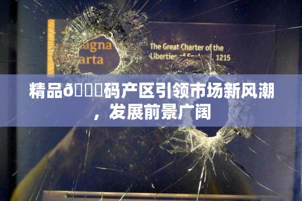 精品🈚码产区引领市场新风潮，发展前景广阔