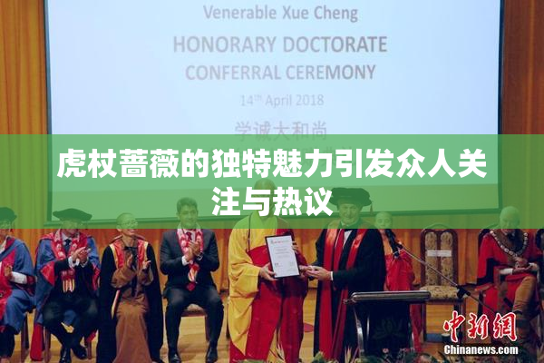 虎杖蔷薇的独特魅力引发众人关注与热议