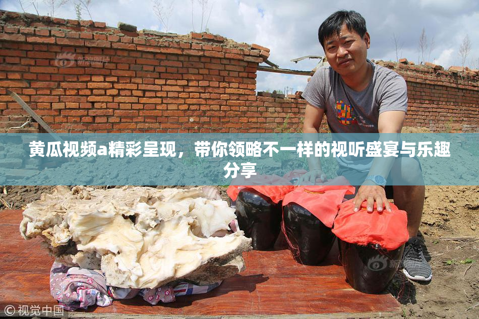 黄瓜视频a精彩呈现，带你领略不一样的视听盛宴与乐趣分享
