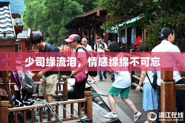 少司缘流泪，情感绵绵不可忘