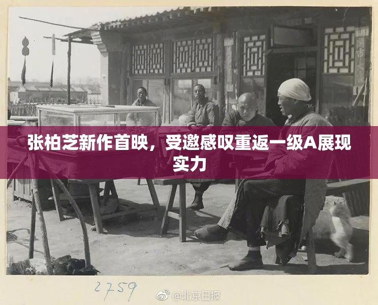 张柏芝新作首映，受邀感叹重返一级A展现实力