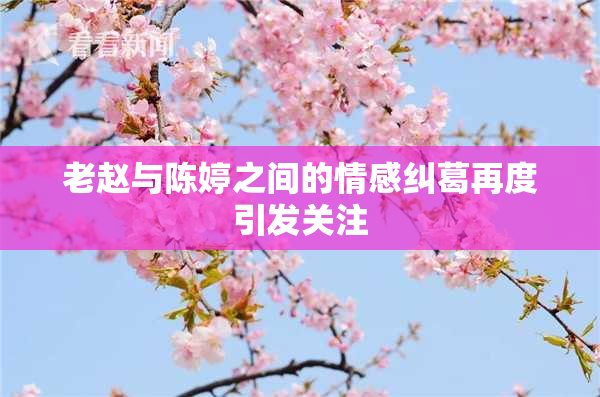 老赵与陈婷之间的情感纠葛再度引发关注