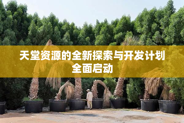 天堂资源的全新探索与开发计划全面启动