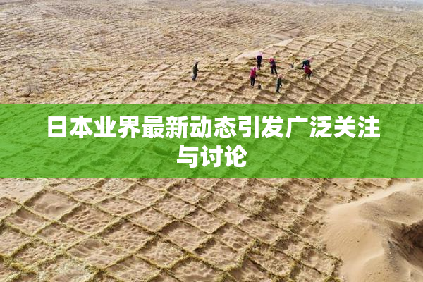 日本业界最新动态引发广泛关注与讨论