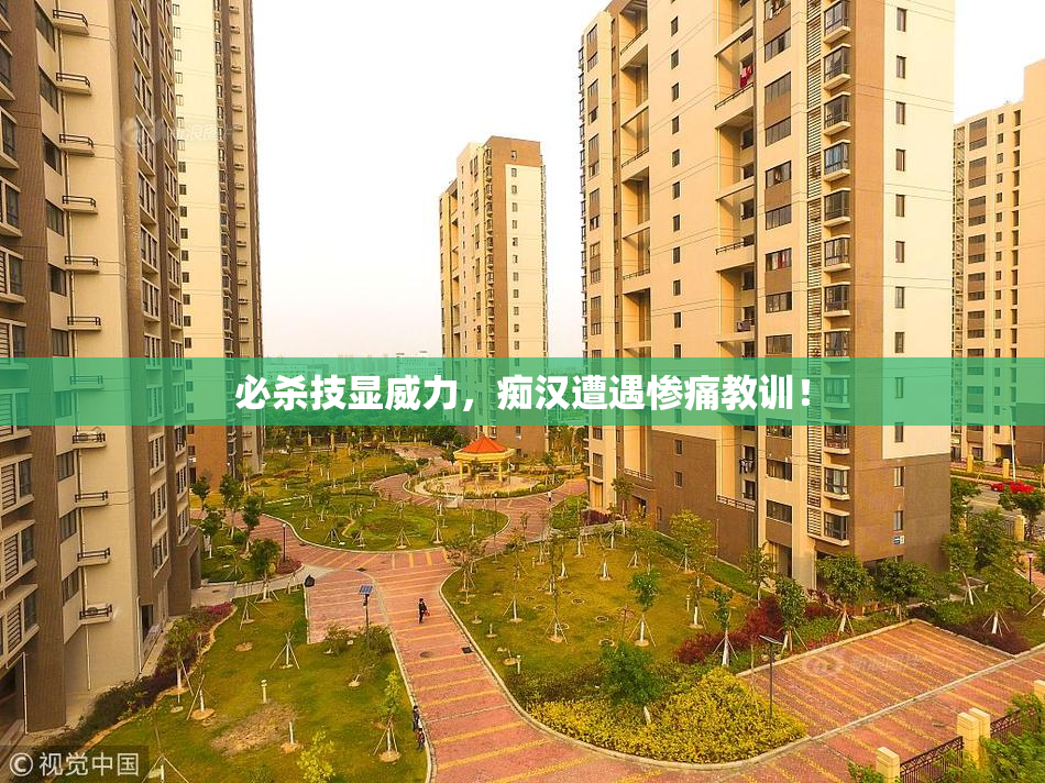 必杀技显威力，痴汉遭遇惨痛教训！