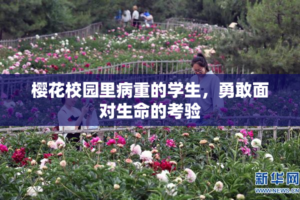 樱花校园里病重的学生，勇敢面对生命的考验