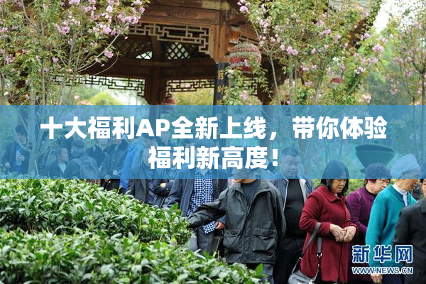 十大福利AP全新上线，带你体验福利新高度！