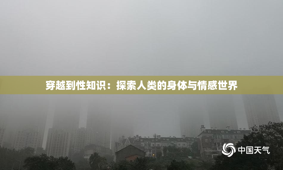 穿越到性知识：探索人类的身体与情感世界