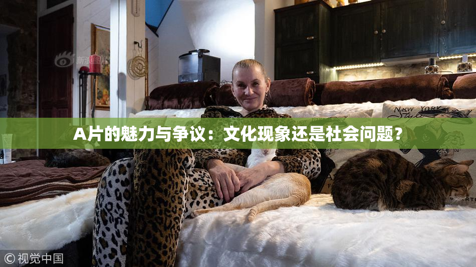 A片的魅力与争议：文化现象还是社会问题？
