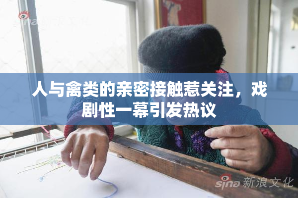 人与禽类的亲密接触惹关注，戏剧性一幕引发热议