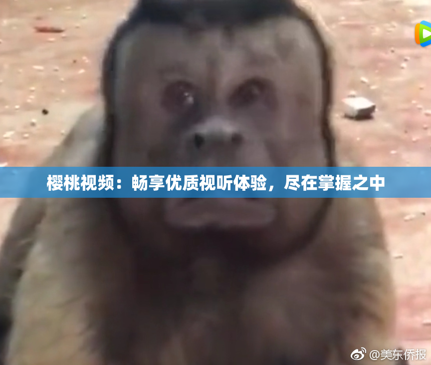 樱桃视频：畅享优质视听体验，尽在掌握之中