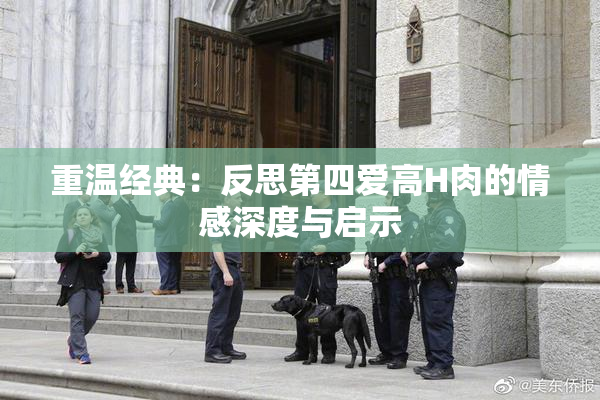 重温经典：反思第四爱高H肉的情感深度与启示