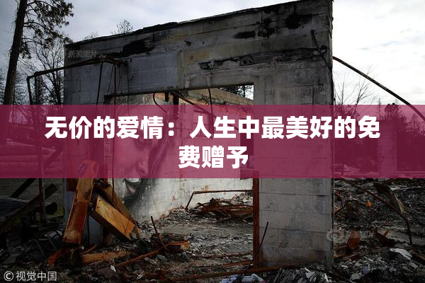 无价的爱情：人生中最美好的免费赠予