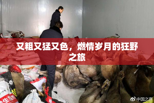 又粗又猛又色，燃情岁月的狂野之旅