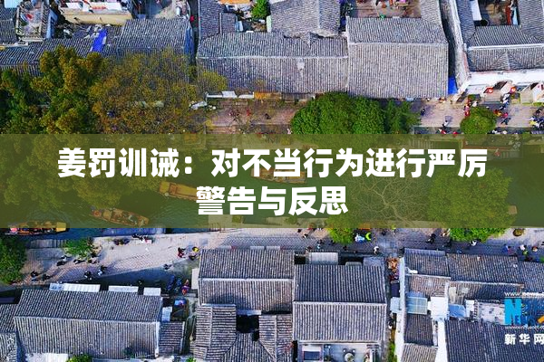姜罚训诫：对不当行为进行严厉警告与反思