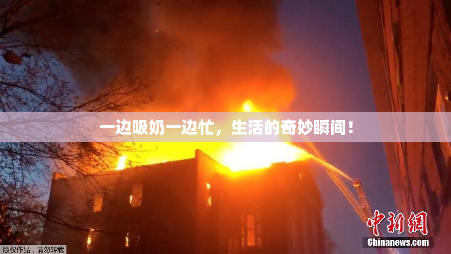 一边吸奶一边忙，生活的奇妙瞬间！