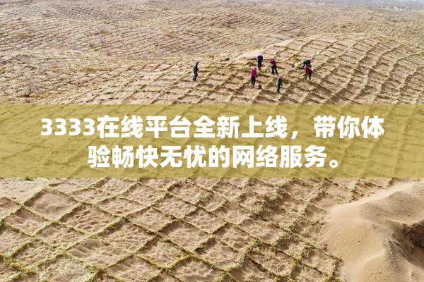 3333在线平台全新上线，带你体验畅快无忧的网络服务。